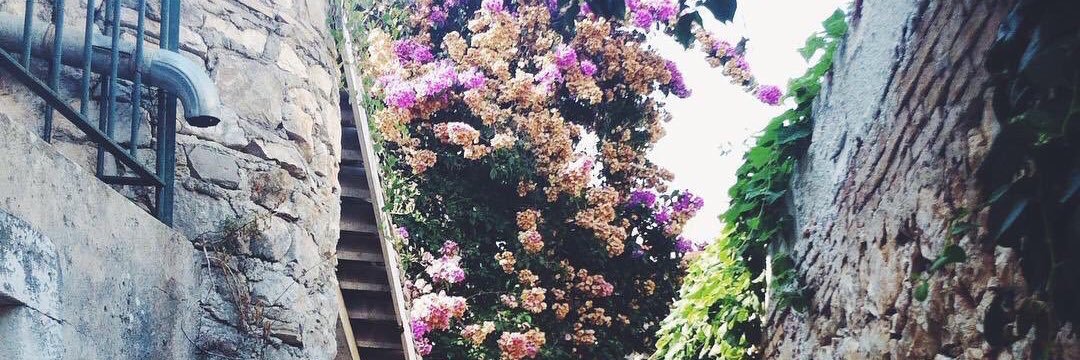 Asmaa1441's profile banner image