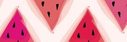 chianosaurus's profile banner image