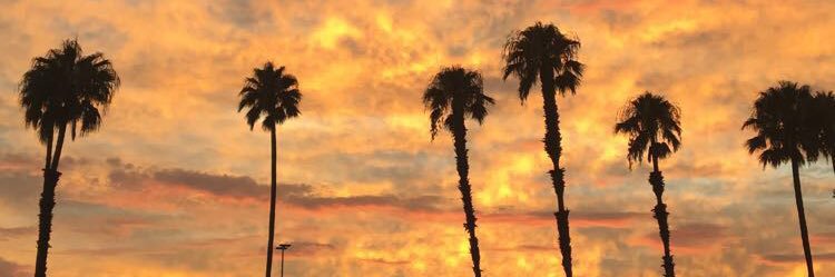 isabel_aalvarez's profile banner image