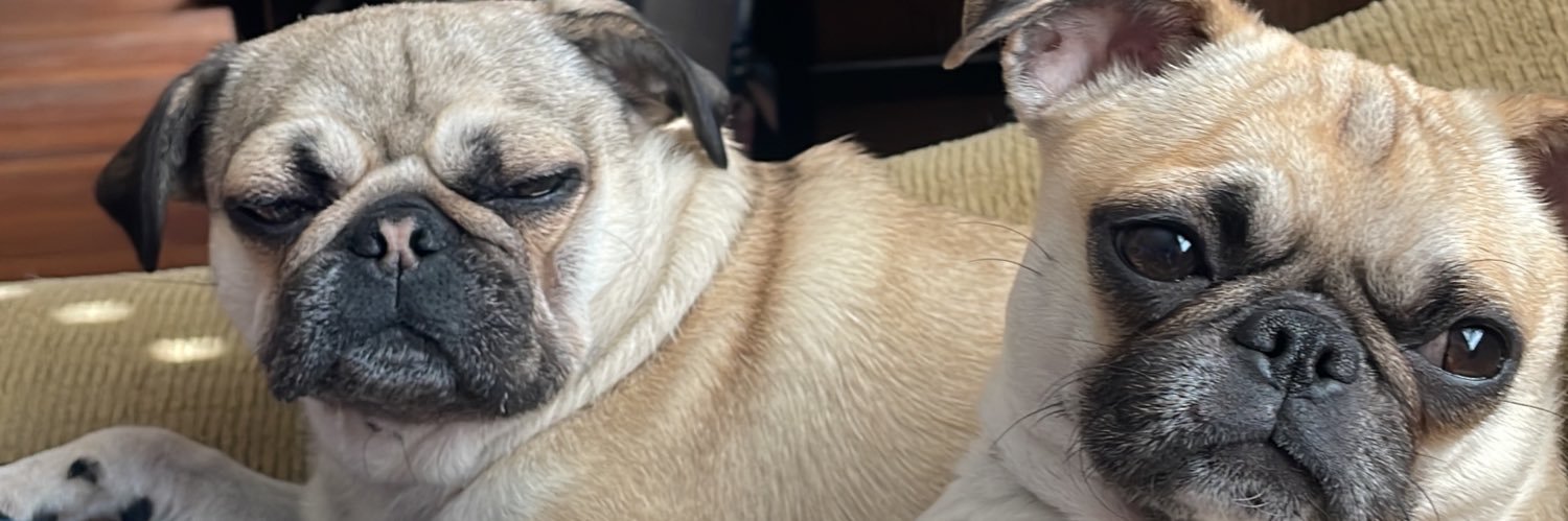 MerlotBrandy's profile banner image