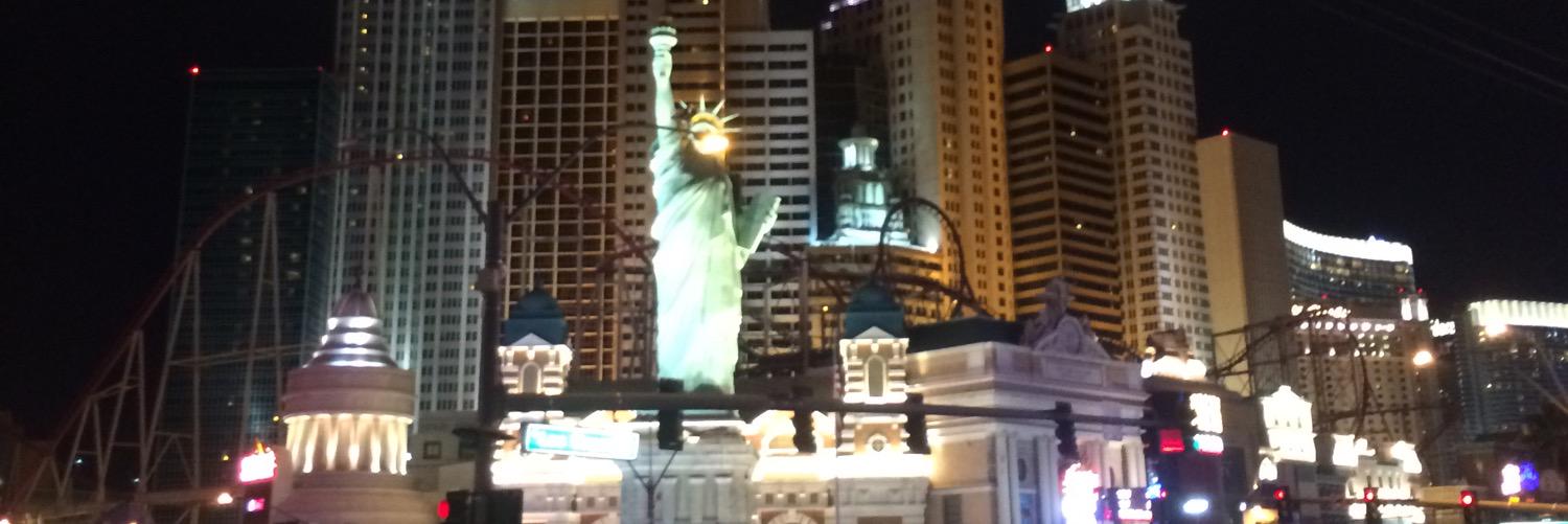 Parkouring Doge banner