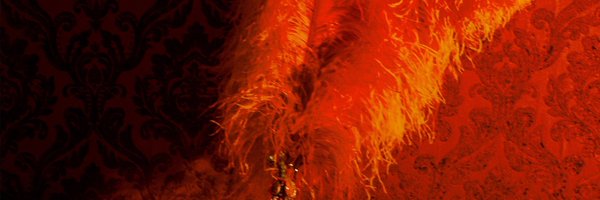 amyshaped Profile Banner