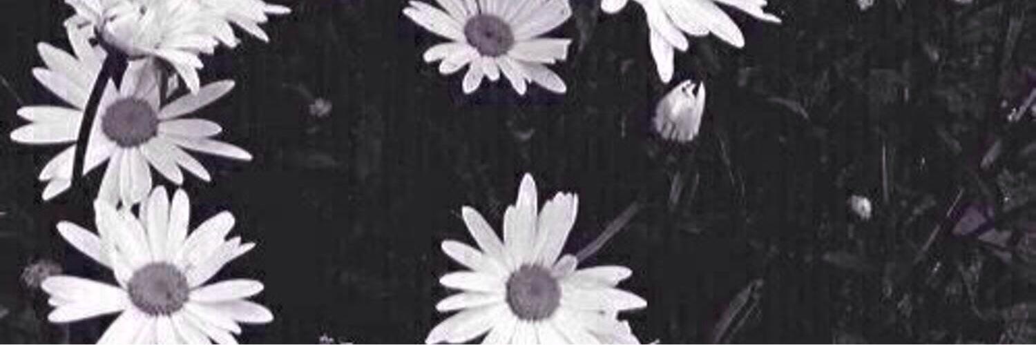 mroo667's profile banner image