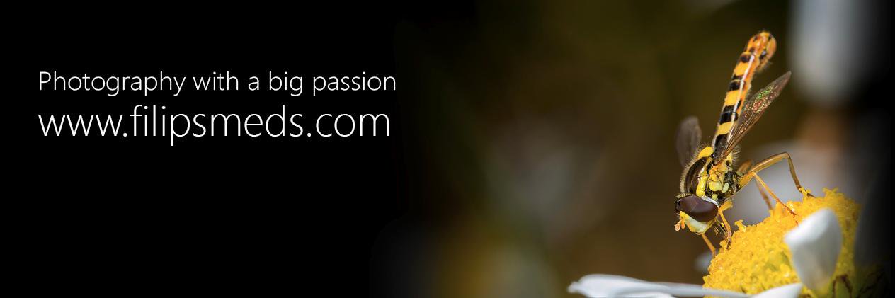 F_Smeds's profile banner image