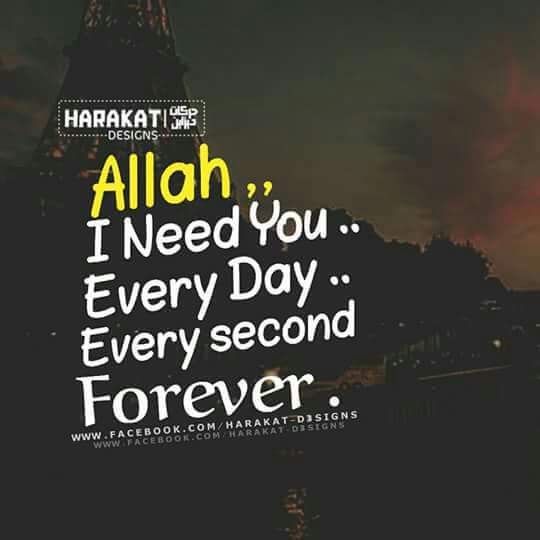 AlyaaSayed4's profile banner image