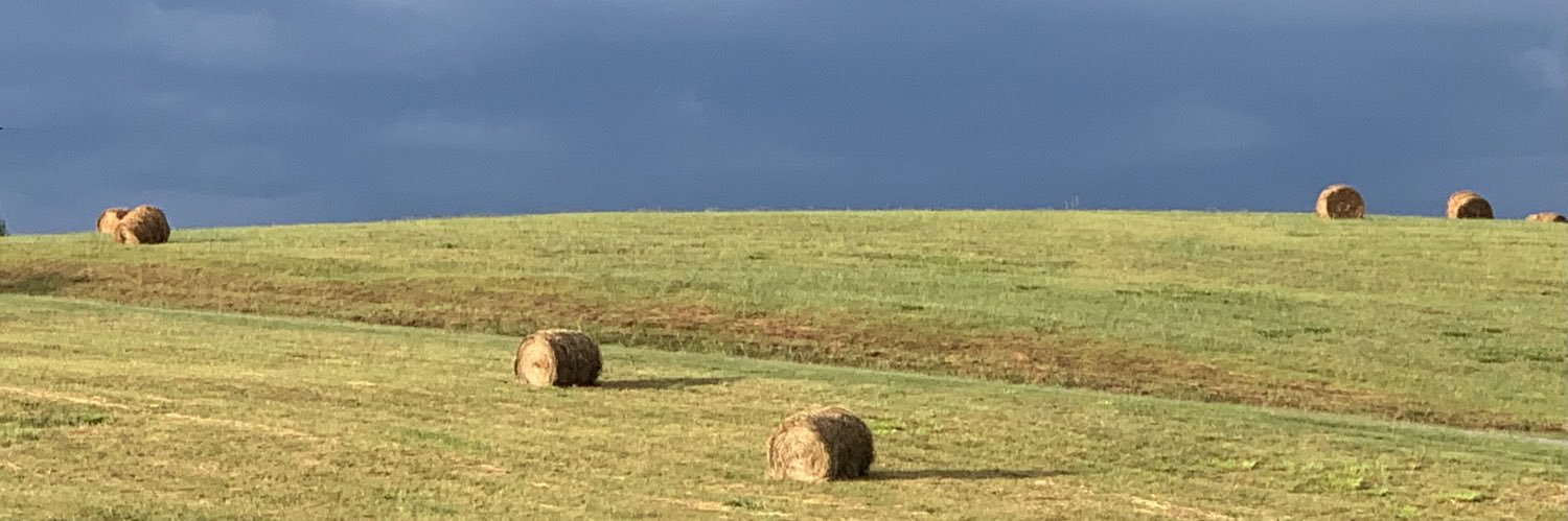 OddToddo's profile banner image