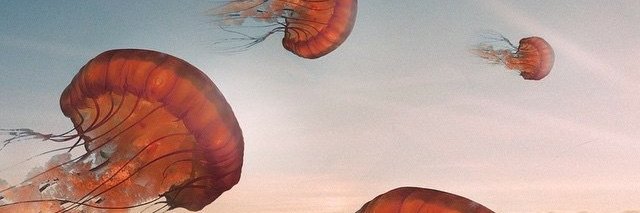 ichpwen's profile banner image