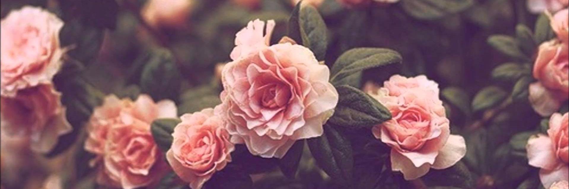 MarinaRubii's profile banner image