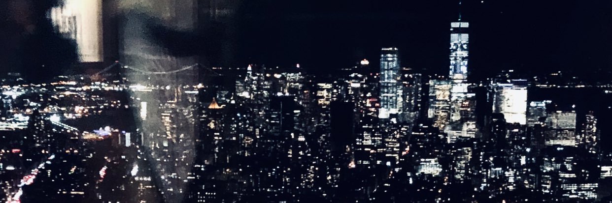 rvfvelf's profile banner image