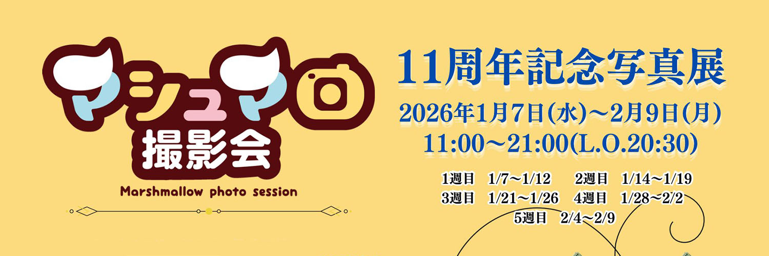 マシュマロ写真展vol.11 banner