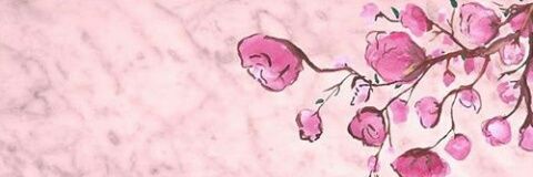 valee4340's profile banner image
