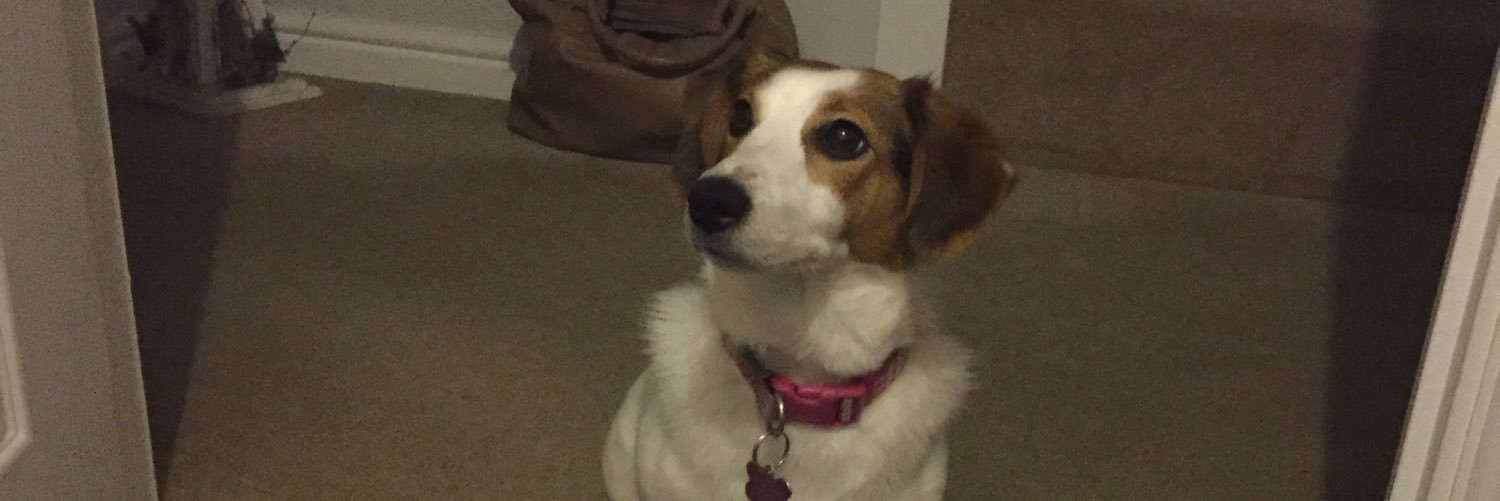 sophy_whyley's profile banner image