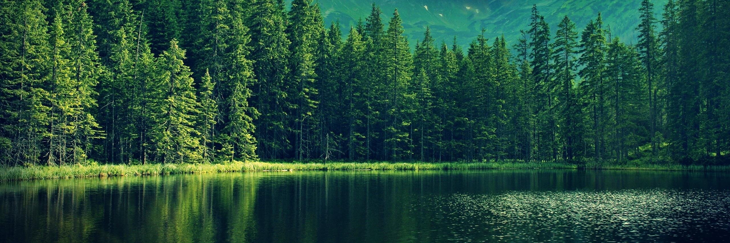 listenidc's profile banner image