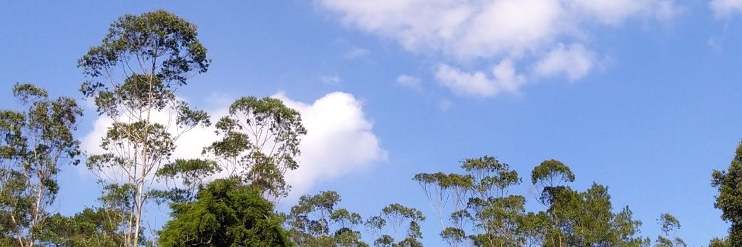 oosyii's profile banner image