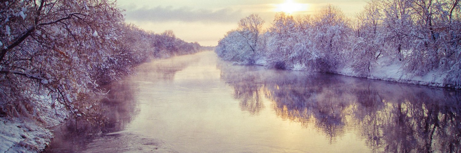 Михаил Торовин banner