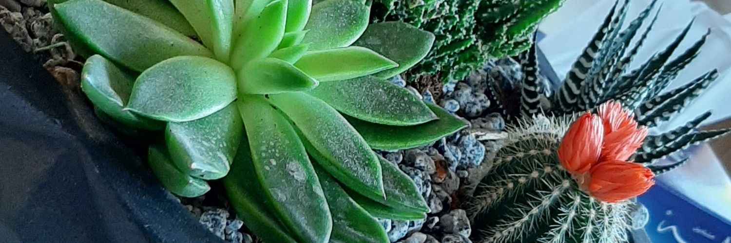 Zeeshan Iqbal Khan banner