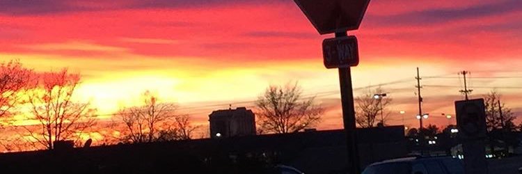 mattmalouf86's profile banner image