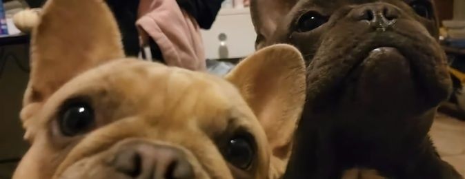 GodsNips's profile banner image