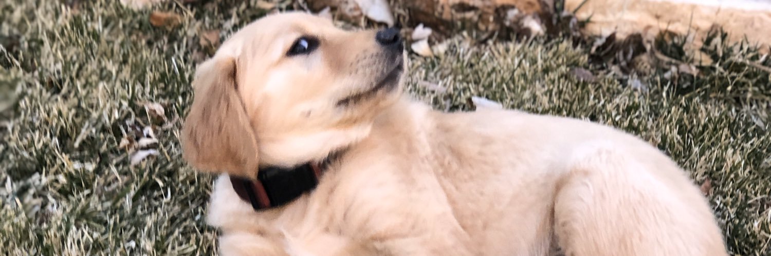morganemily29's profile banner image