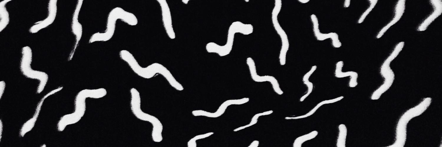 IBNUCIPTAS's profile banner image