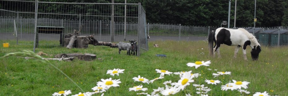 Balsall Heath City Farm banner