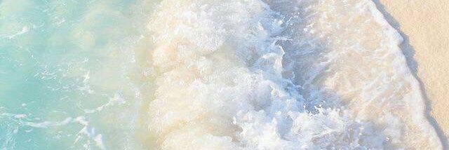 • หลินหลิน • banner