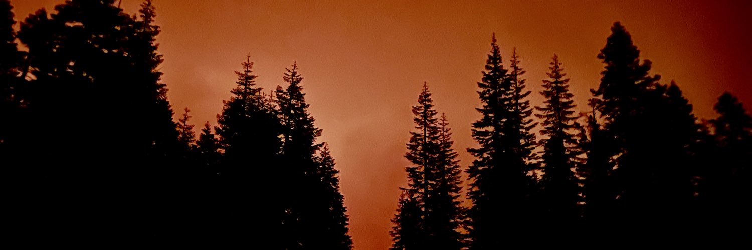 Cameron Smith banner