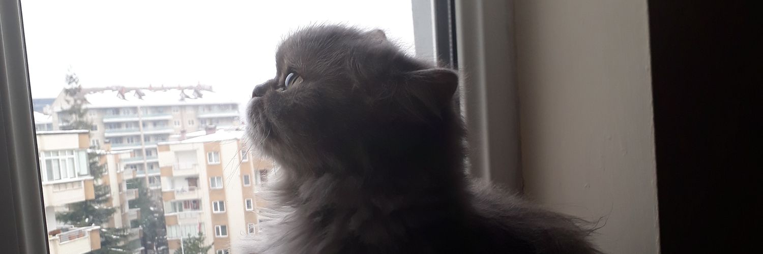 emeliuss's profile banner image