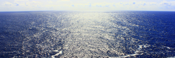 invipesca Profile Banner
