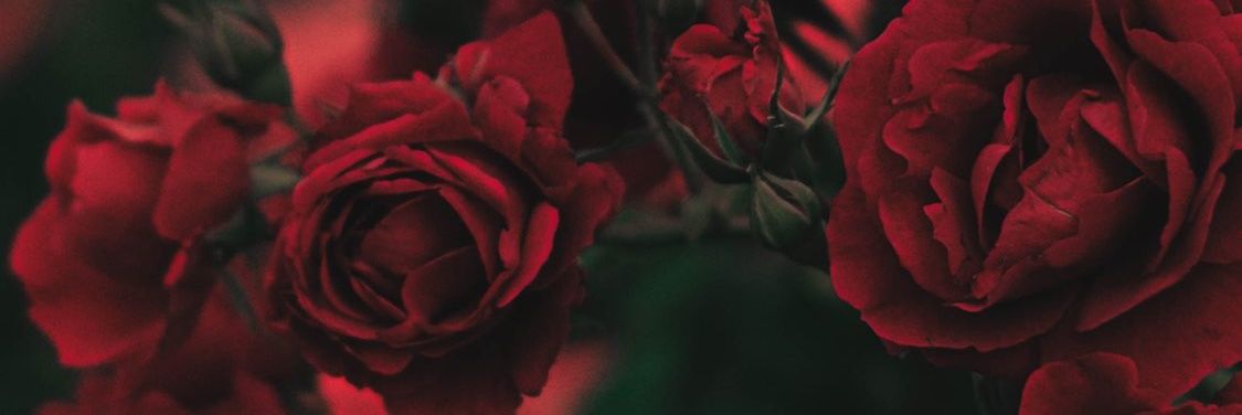 402_soto's profile banner image