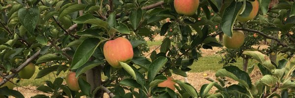 Flannsplainer Profile Banner