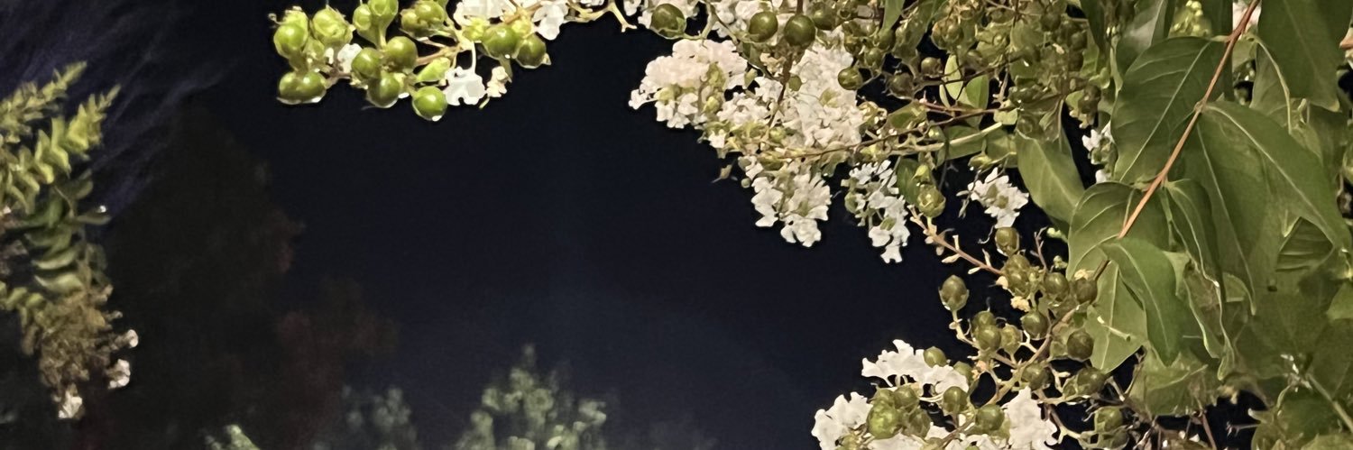 hello_lexyy's profile banner image