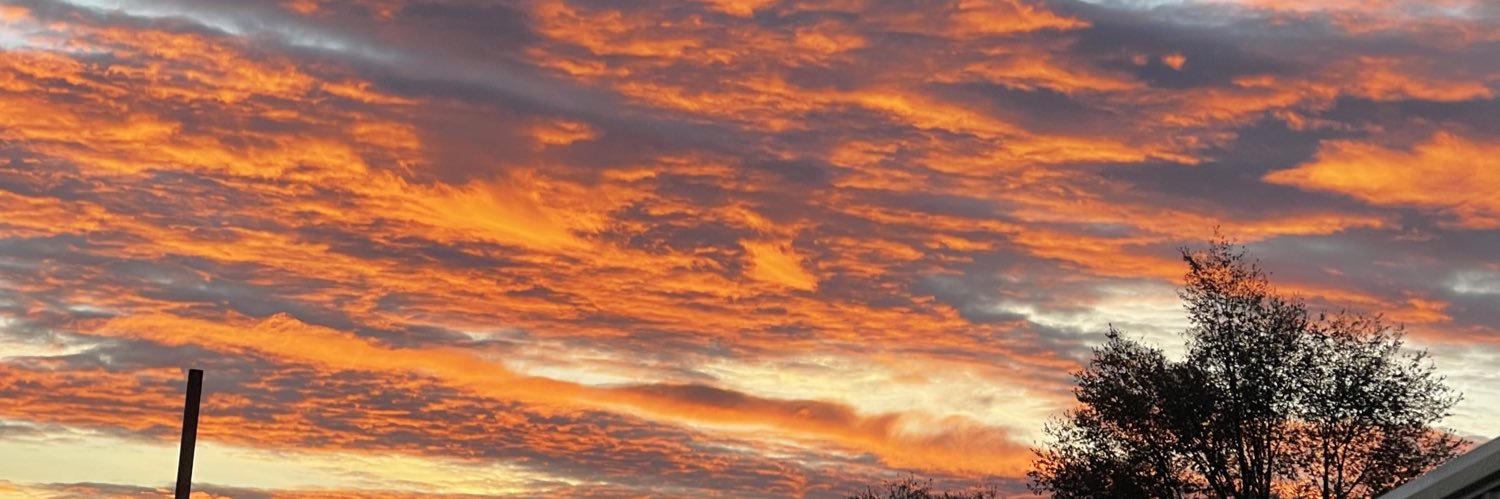 karleynicolee's profile banner image