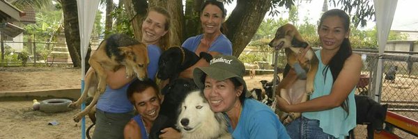 bodhidogs Profile Banner