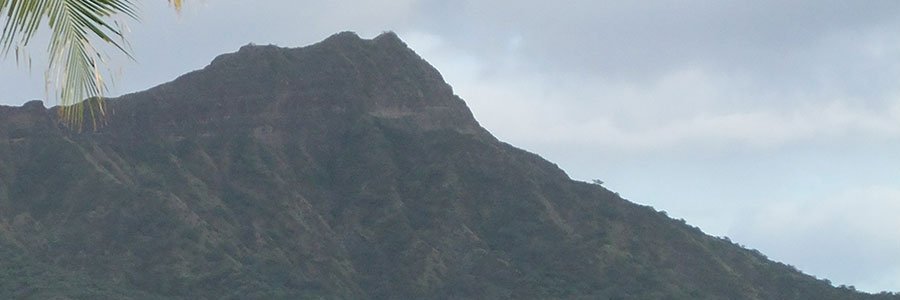 Toni Shortsleeve banner