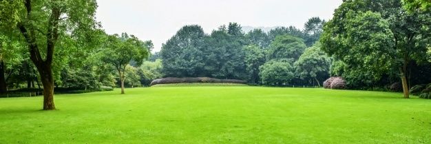 Parque En Recuerdo banner