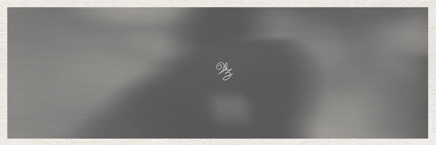 𝒱𝑖𝑣𝑖𝑎𝑛𝑛𝑒, 赵 banner