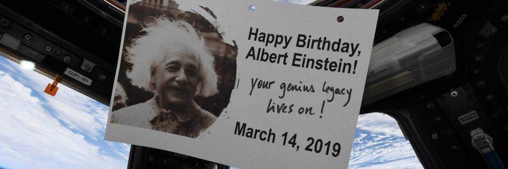 Michelle Spradlin Ward banner