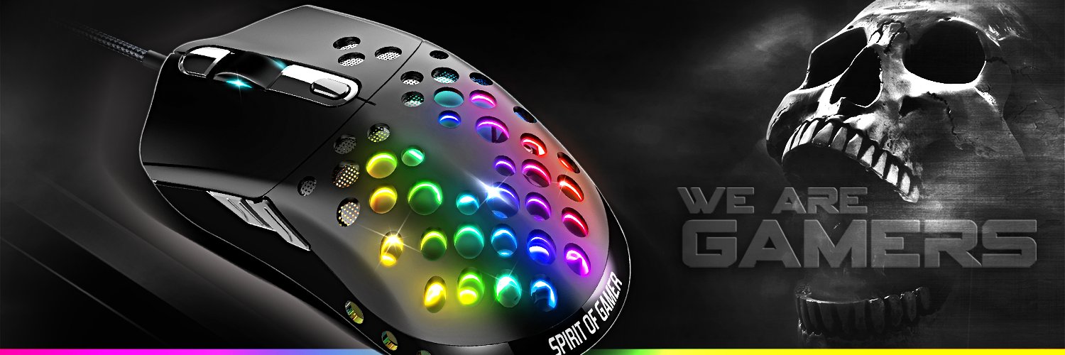 SPIRIT OF GAMER banner