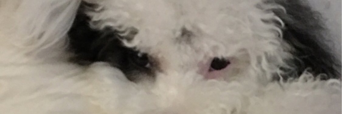 ThinkB4USpeak banner