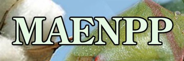 mea_msu Profile Banner