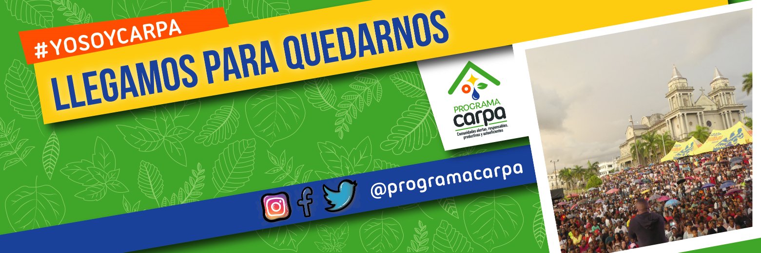 programacarpa's profile banner image