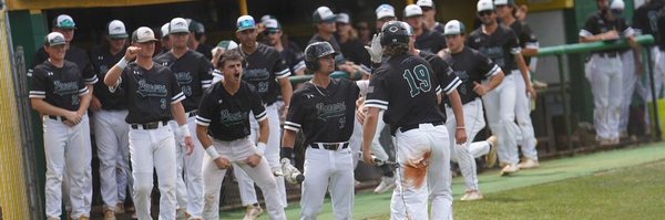 GoPeaceBaseball Profile Banner