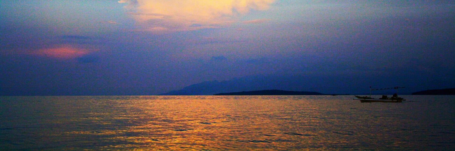 agathanaraa's profile banner image