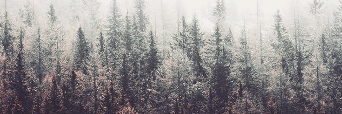 farafma's profile banner image