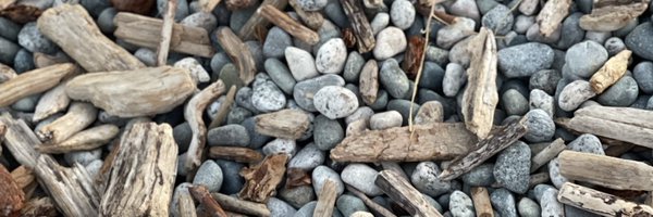 zahrasgoodarzi Profile Banner