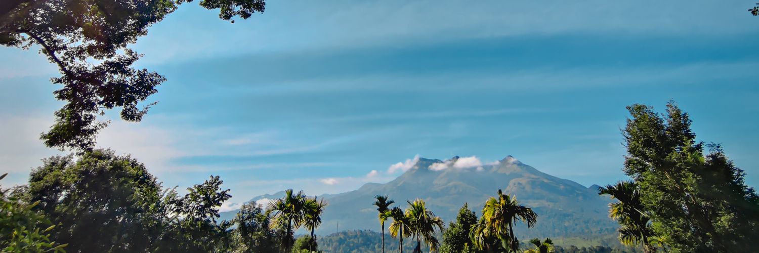 OnePlus_Surya's profile banner image