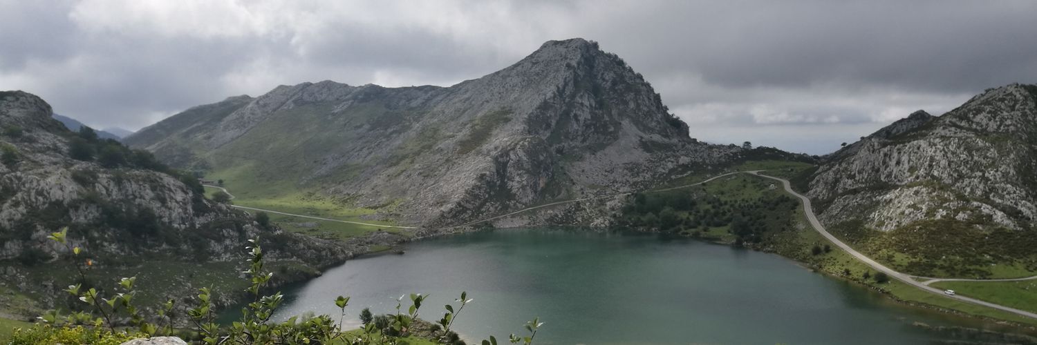 druizbar's profile banner image