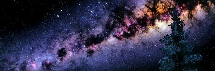 XOXOXled's profile banner image