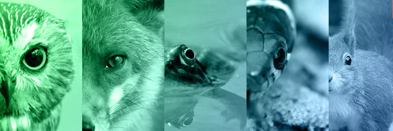 Explorama 🌱🏛 banner